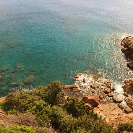 Accademia Apartment Λιβόρνο Εξωτερικό φωτογραφία