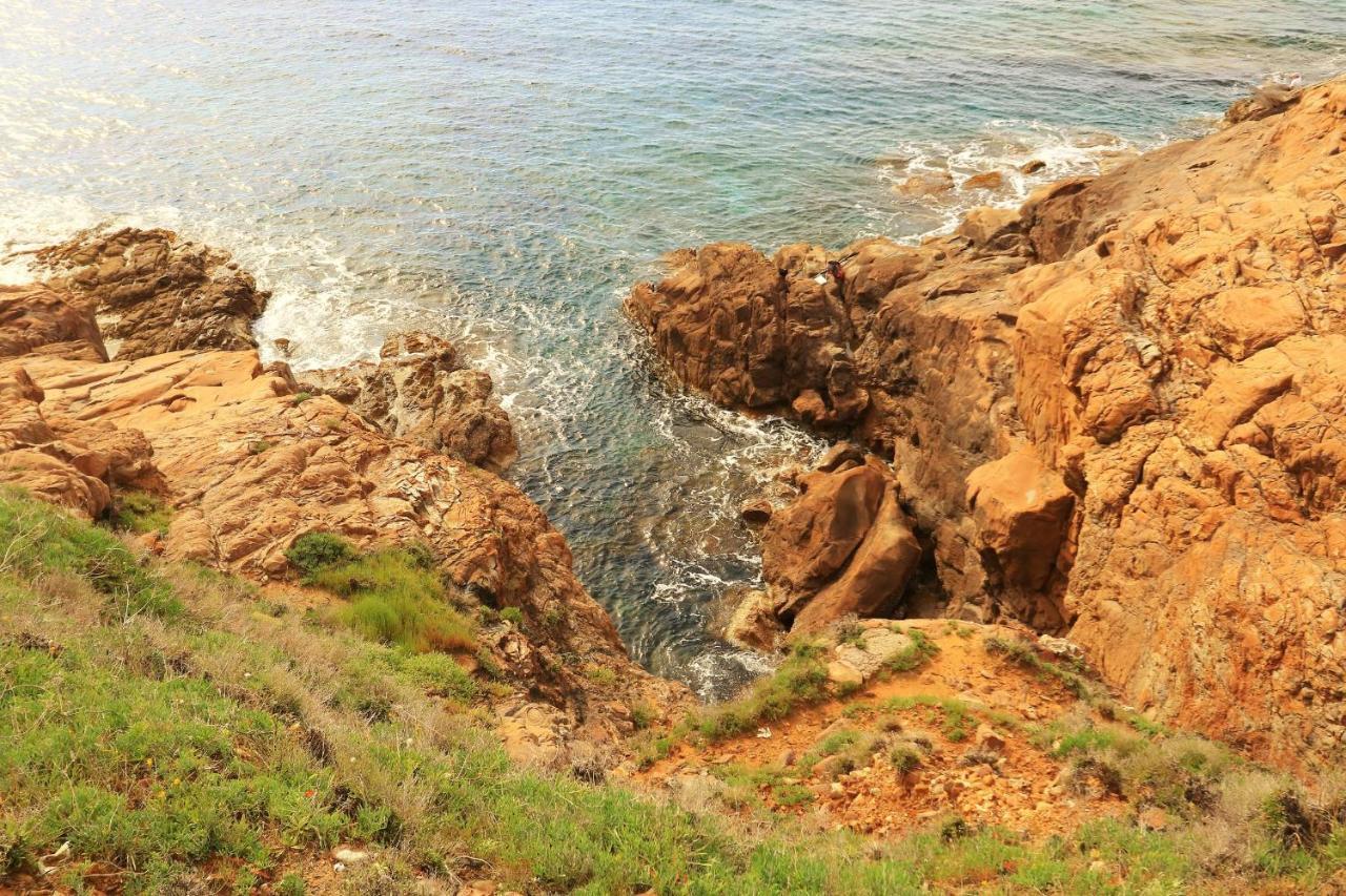 Accademia Apartment Λιβόρνο Εξωτερικό φωτογραφία